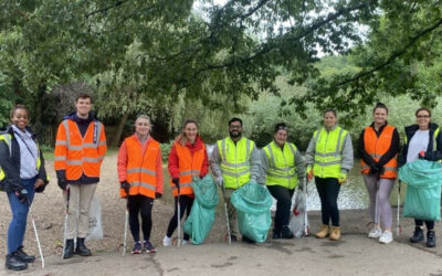 VINCI Litter Pick