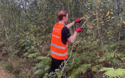 Powerlines Group Volunteer Day